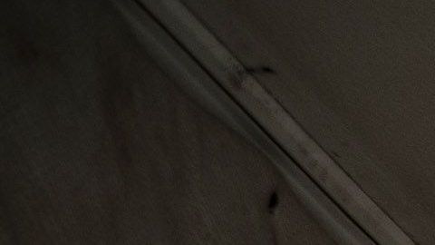 Hopkins ha tenido papel protagónico en el grupo fronterizo Patriotas Unidos Constitucionales.