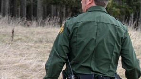 Equipo canino ayudó a detener a los inmigrantes.