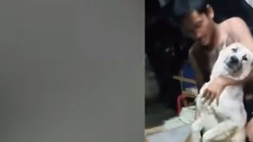 Por más que quisieron ponerlo de pie, el perro se negó.