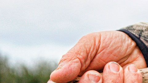 Los pasatiempos al aire libro pueden tener mayores efectos positivos sobre la gente.
