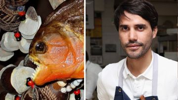 El chef de talla internacional estuvo detenido en LAX por cinco horas por los peces que traía en su maleta.