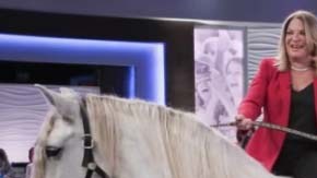 En uno de los episodios,  Ana María Polo aparece montada en un caballo.