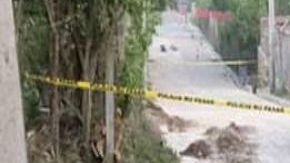 Purga interna de la MS 13