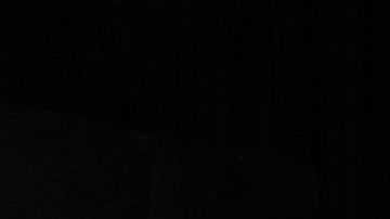 Raúl Jiménez es el máximo anotador del Wolverhamton Wanderers con 17 goles en todas las competencias