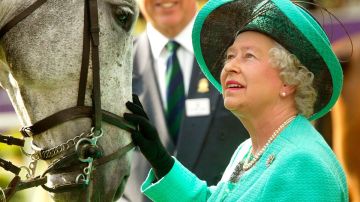 A la fecha, la reina ha ganado en 534 carreras de caballos.