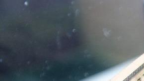 Remesas. EFE/Archivo