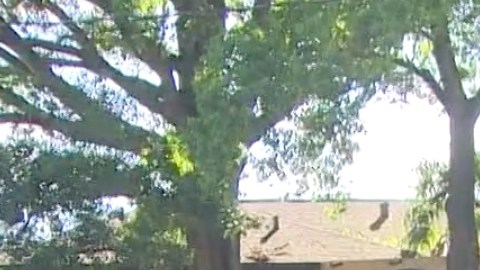 El rancho donde el niño disparó a su hermano.