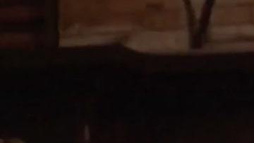 La víctima perdió la vida producto de un traumatismo craneal