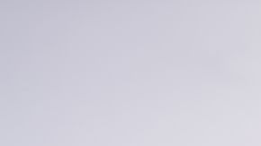 shutterstock_1151035832