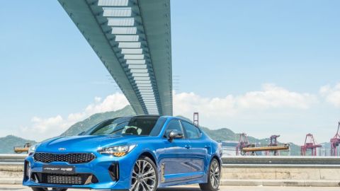 shutterstock_1213868290