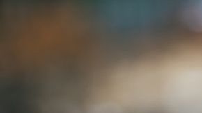 Por 2,500 euros dejó que cometieran dicha atrocidad.