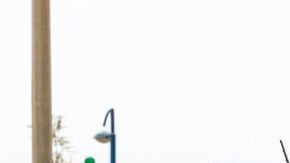 shutterstock_1249293553