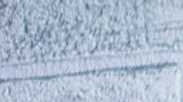 shutterstock_1320331835