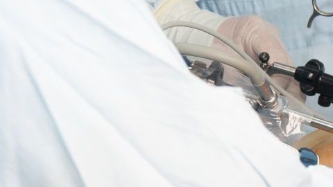 shutterstock_147383246