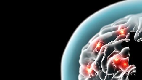 El cerebro continúa generando neuronas hasta los 90.