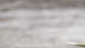 shutterstock_253044214