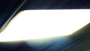 shutterstock_28491502