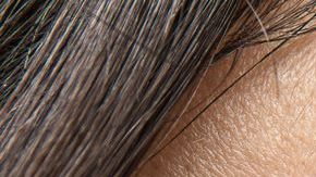 shutterstock_380846914