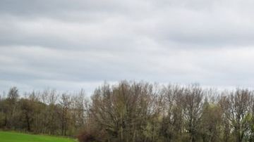 shutterstock_409361605