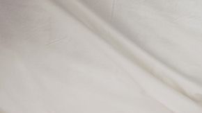 shutterstock_529565674