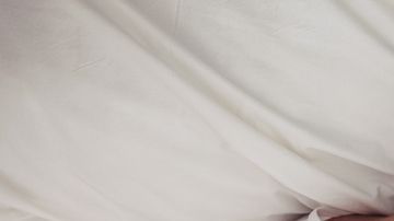 shutterstock_529565674