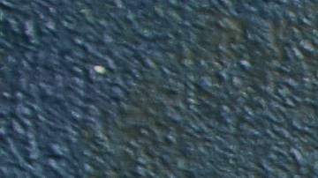 shutterstock_557452129