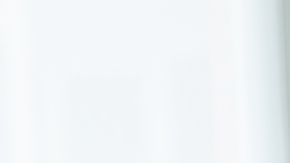 shutterstock_564161938