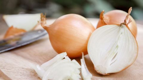 Foto: Shutterstock
