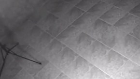 El sicario pidió que lo identificaran como “Francisco”.