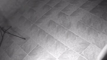 El sicario pidió que lo identificaran como “Francisco”.