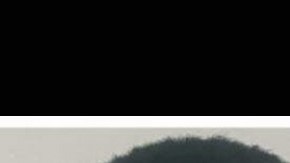 Los jóvenes atropellados.