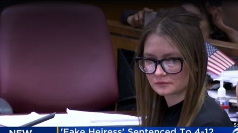 Anna Sorokin, alias Anna Delvey