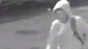 Imagen de los sospechosos