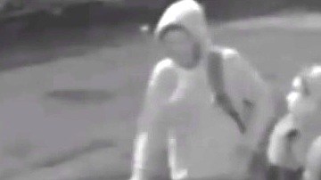 Imagen de los sospechosos