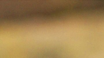 La mujer enloqueció cuando vio la araña en sus piernas.