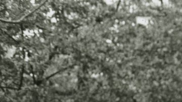 Las activistas trans Marsha P. Johnson y Sylvia Rivera (izq.), durante las demostraciones en NYC.