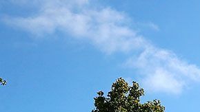 Anteriormente, Tesla había sido multada con $29,000 dólares por violaciones de seguridad.