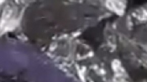 Las fotos fueron tomadas por una fuente anónima.