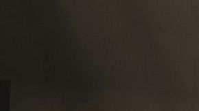 El Toyota Camry nunca le ha fallado a los hispanos