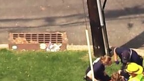 Recibieron reanimación cardiopulmorar (RCP) en la escena