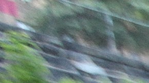 En el 2013, la afroamericana transgénero Islan Nettles, fue golpeada y dejada en coma en Harlem.