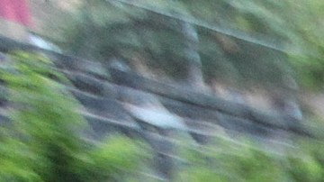 En el 2013, la afroamericana transgénero Islan Nettles, fue golpeada y dejada en coma en Harlem.