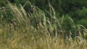 Los gastos que se han hecho equivalen a 255 veces el salario presidencial.