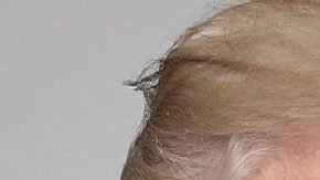 Los presidentes Trump y López Obrador.