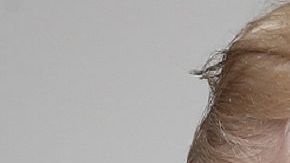 El presidente de México, cree que si Donald Trump gana las elecciones presidenciales de noviembre, tal vez desista del muro fronterizo.