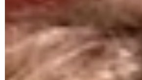 El ataque ocurrió en Majestic Elegance Resort de Punta Cana, República Dominicana.