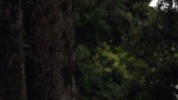 La marchista mexicana Lupita González.