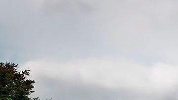 Hasta el momento, la Universidad John Hopkins es la que más dinero ha recibido de una sola persona.