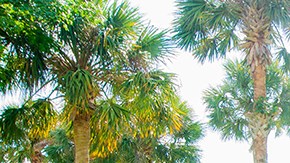 Águeda López hace yoga con su hija Mikaela