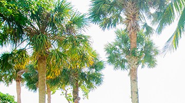 Águeda López hace yoga con su hija Mikaela